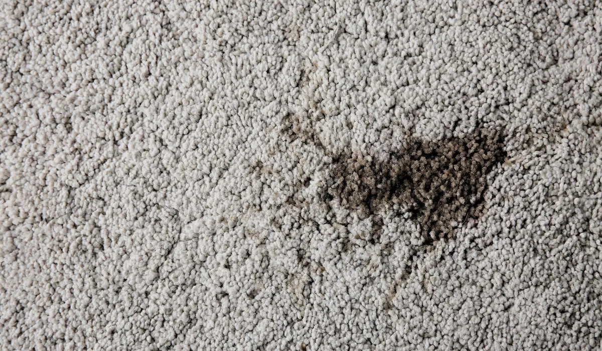 ink stain on carpet