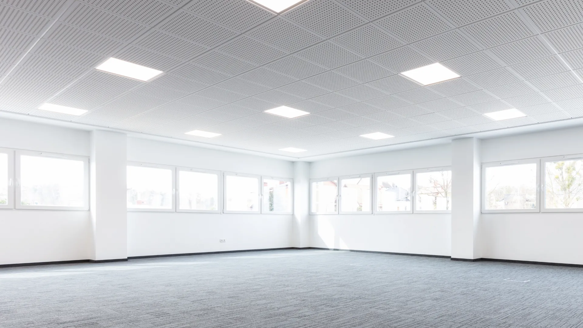 Empty open-plan office with grey carpet and a drop ceiling