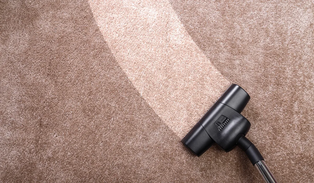 dirty carpet