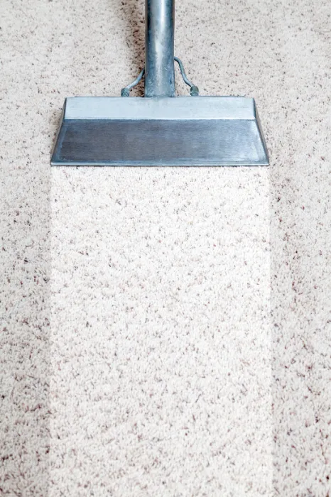 Premium carpet fibers being professionally cleaned in upscale hom