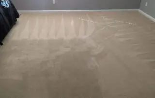 Residential and commercial interior cleaning in Phoenix by First Class Green Cleaning showing clean carpet