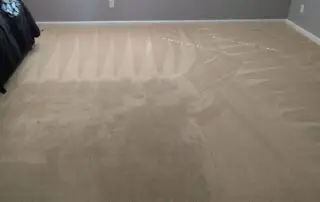 Residential and commercial interior cleaning in Phoenix by First Class Green Cleaning showing clean carpet