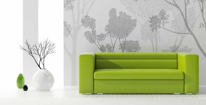 Residential and commercial interior cleaning in Phoenix by First Class Green Cleaning showing a clean green chair