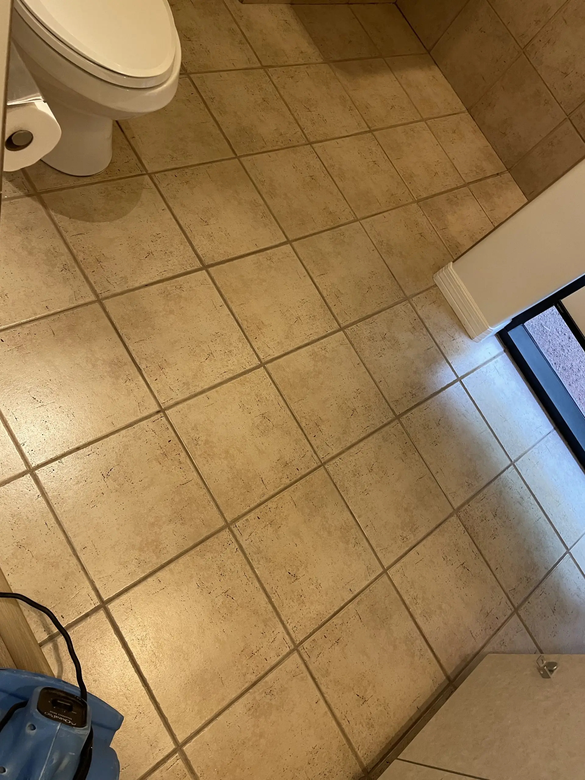 Beige ceramic restroom tile after cleaning